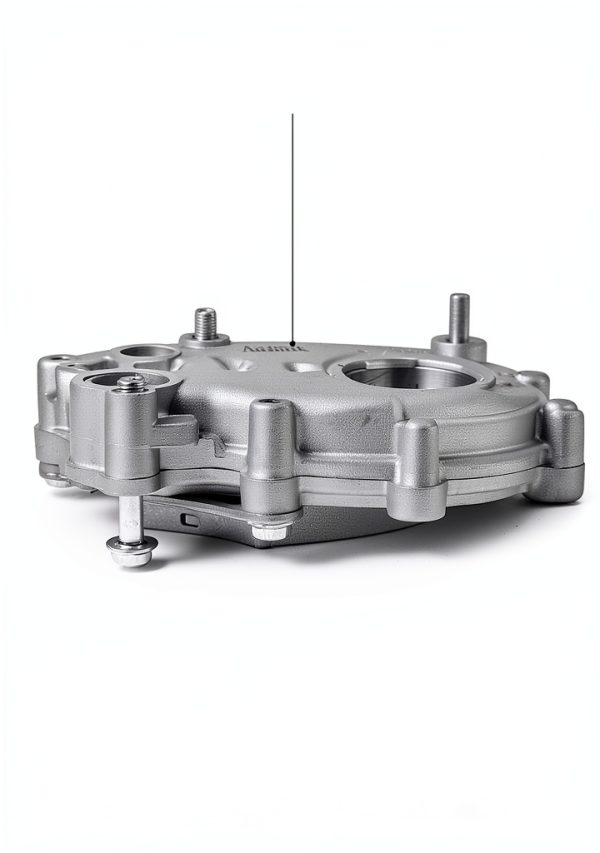 AULINK Mechanical Oil Pump Replacement-0