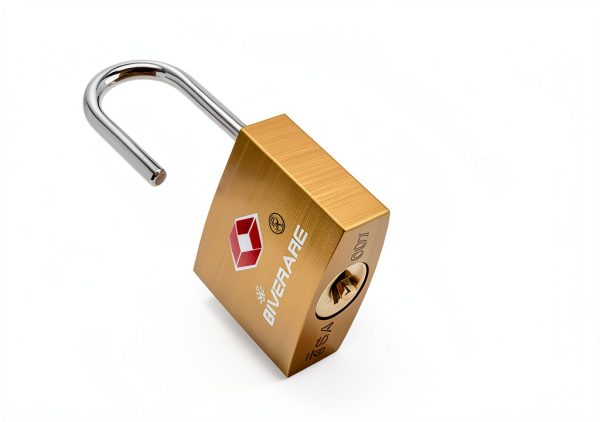 TSA Approved Travel Luggage Locks by GIVERARE Gold Brass Padlock 4-3